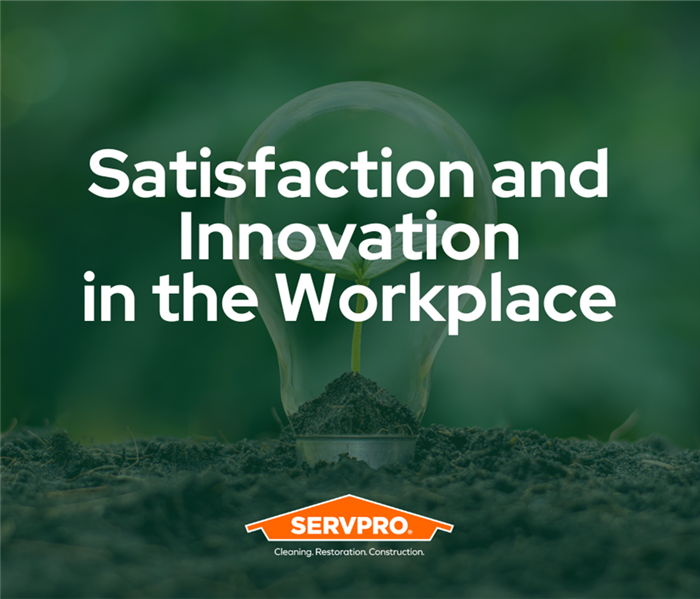 Satisfaction and Innovation in the Workplace