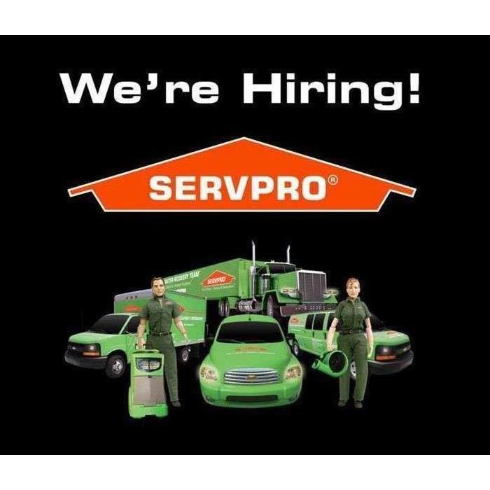 orange SERVPRO logo and cars with man and woman standing in front 